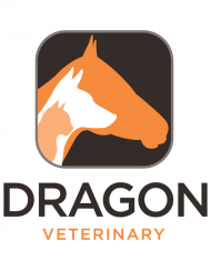 Dragon Veterinary Speech Recognition